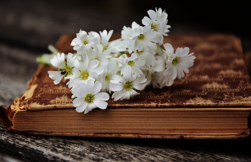 Book and daisies